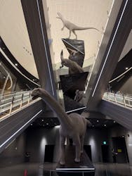 福井県立恐竜博物館に投稿された画像（2026/3/5）