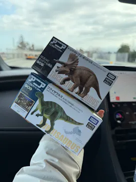 福井県立恐竜博物館に投稿された画像（2026/3/5）