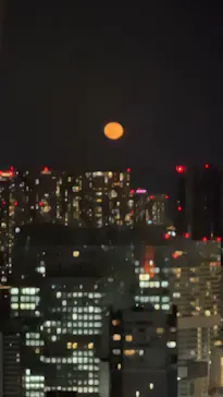 東京タワーに投稿された画像（2026/3/5）