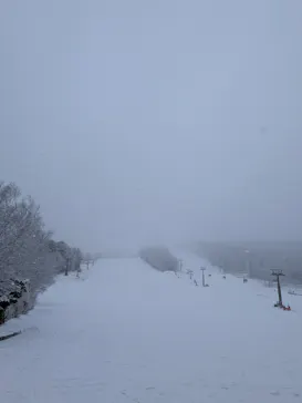 白樺高原国際スキー場に投稿された画像（2026/3/5）