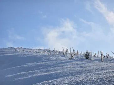 蔵王ロープウェイに投稿された画像（2026/3/5）