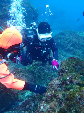 クラウンダイバースに投稿された画像（2026/3/5）