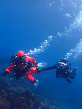 クラウンダイバースに投稿された画像（2026/3/5）