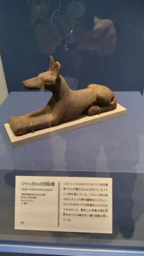 ブルックリン博物館所蔵 特別展 古代エジプト ー掘り起こせ、三千年の謎― 福岡会場に投稿された画像（2026/3/5）