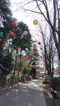 ムーミンバレーパークに投稿された画像（2026/3/5）