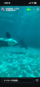 鴨川シーワールドに投稿された画像（2026/3/5）