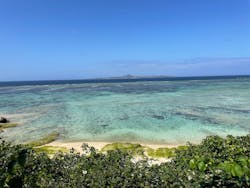 沖縄美ら海水族館に投稿された画像（2026/3/5）