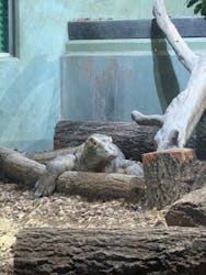 名古屋市東山動植物園に投稿された画像（2026/3/5）