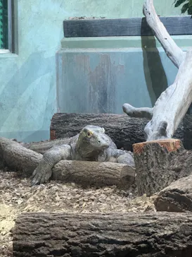 名古屋市東山動植物園に投稿された画像（2026/3/5）