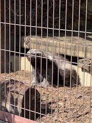 名古屋市東山動植物園に投稿された画像（2026/3/5）