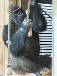 名古屋市東山動植物園に投稿された画像（2026/3/5）