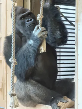 名古屋市東山動植物園に投稿された画像（2026/3/5）