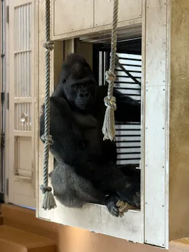 名古屋市東山動植物園に投稿された画像（2026/3/5）