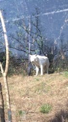 名古屋市東山動植物園に投稿された画像（2026/3/5）