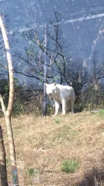 名古屋市東山動植物園に投稿された画像（2026/3/5）