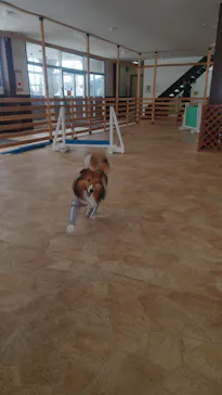 黒姫高原スノーパーク・KUROHIME GREEN GARDENに投稿された画像（2026/3/5）