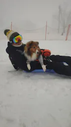 黒姫高原スノーパーク・KUROHIME GREEN GARDENに投稿された画像（2026/3/5）