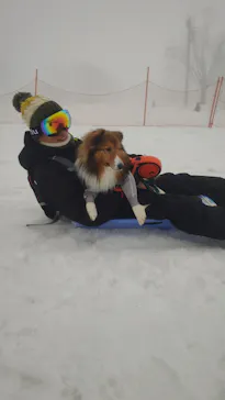 黒姫高原スノーパーク・KUROHIME GREEN GARDENに投稿された画像（2026/3/5）