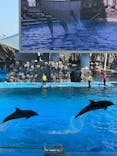 名古屋港水族館に投稿された画像（2026/3/6）