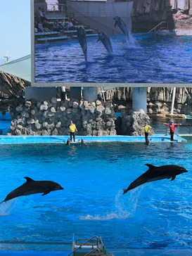 名古屋港水族館に投稿された画像（2026/3/5）