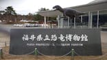 福井県立恐竜博物館に投稿された画像（2026/3/6）