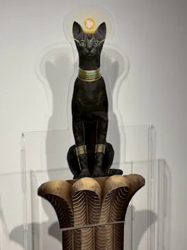 IMMERSIVE JOURNEY 名古屋に投稿された画像（2026/3/5）