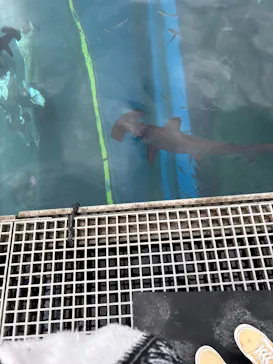 横浜・八景島シーパラダイスに投稿された画像（2026/3/6）