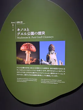 NAKED meets ガウディ展に投稿された画像（2026/3/6）