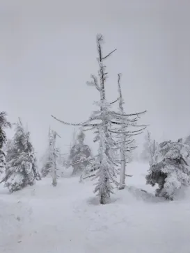 蔵王ロープウェイに投稿された画像（2026/3/6）