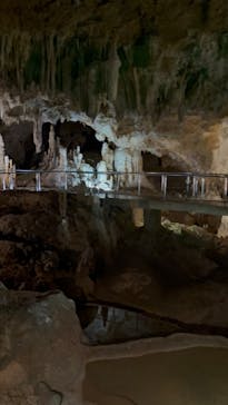 石垣島鍾乳洞に投稿された画像（2026/3/6）