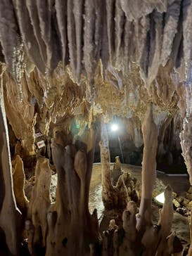 石垣島鍾乳洞に投稿された画像（2026/3/6）