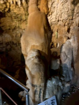 石垣島鍾乳洞に投稿された画像（2026/3/6）