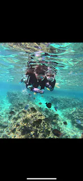 武藤潜水に投稿された画像（2026/3/6）