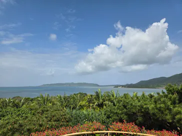 石垣やいま村に投稿された画像（2026/3/6）