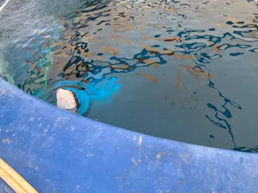 横浜・八景島シーパラダイスに投稿された画像（2026/3/6）