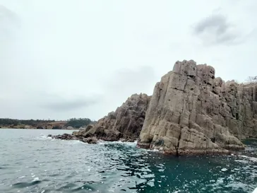 東尋坊観光遊覧船株式会社に投稿された画像（2026/3/6）