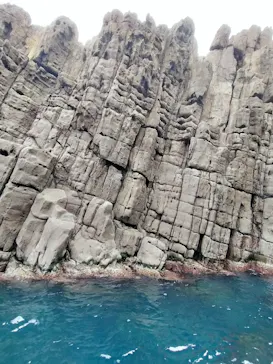 東尋坊観光遊覧船株式会社に投稿された画像（2026/3/6）