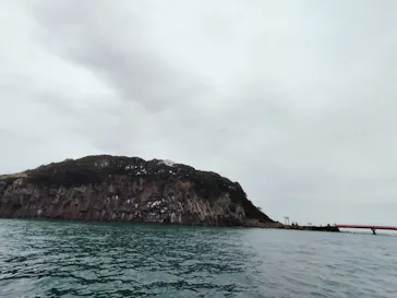 東尋坊観光遊覧船株式会社に投稿された画像（2026/3/6）