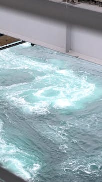 徳島県立 渦の道に投稿された画像（2026/3/6）