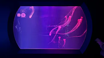 すみだ水族館に投稿された画像（2026/3/6）