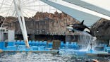 名古屋港水族館に投稿された画像（2026/3/6）
