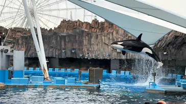 名古屋港水族館に投稿された画像（2026/3/6）
