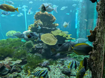 串本海中公園水族館に投稿された画像（2026/3/6）