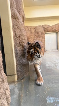 日立市かみね動物園に投稿された画像（2026/3/6）