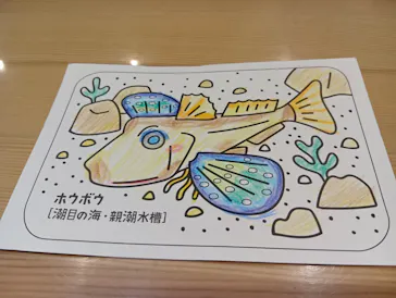 環境水族館アクアマリンふくしまに投稿された画像（2026/3/6）