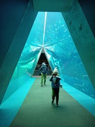 環境水族館アクアマリンふくしまに投稿された画像（2026/3/6）