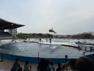 京都水族館に投稿された画像（2026/3/6）