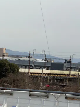 京都水族館に投稿された画像（2026/3/6）