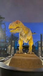 福井県立恐竜博物館に投稿された画像（2026/3/6）