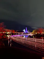 なばなの里に投稿された画像（2026/3/6）